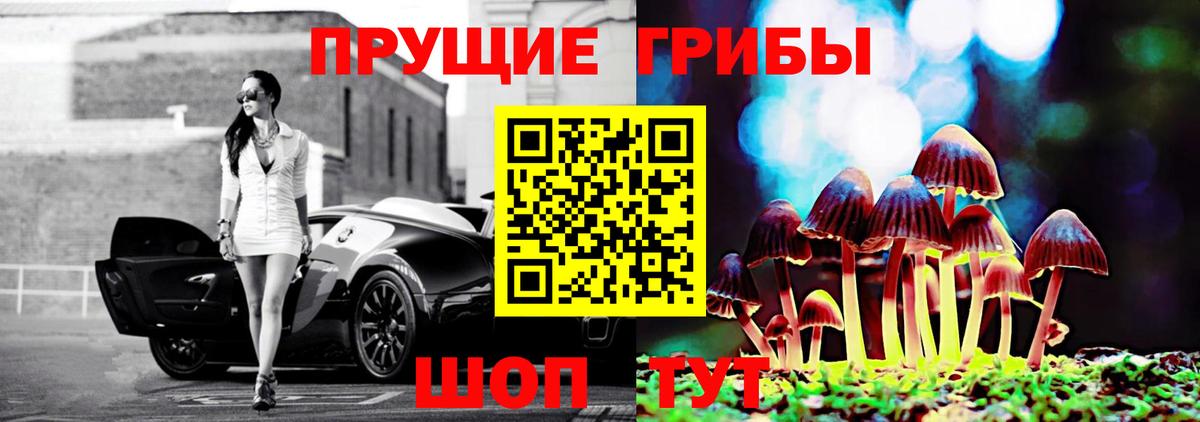 Евпатория  Псилоцибиновые грибы Cubensis  Галлюциногенные грибы MAGIC MUSHROOMS  Вход с VPN 
