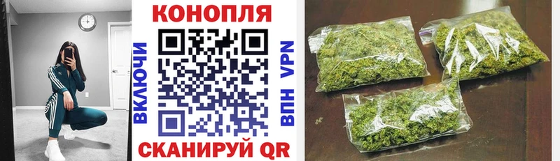 Бошки марихуана сатива  Евпатория 
